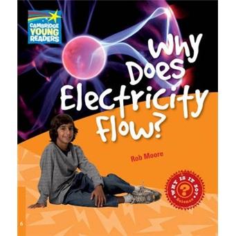 WhyElectricityFlowL6Factbook[為什么電會(huì)流通？]