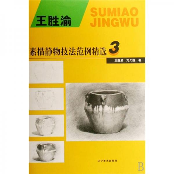 素描靜物技法范例精選3