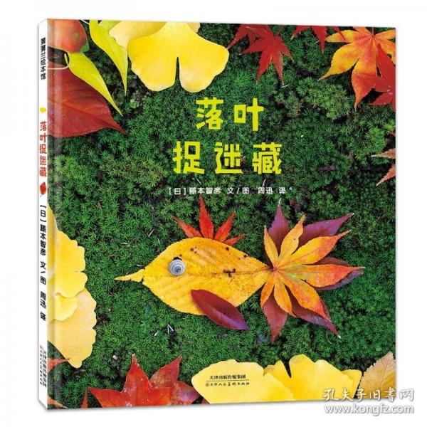 落葉捉迷藏