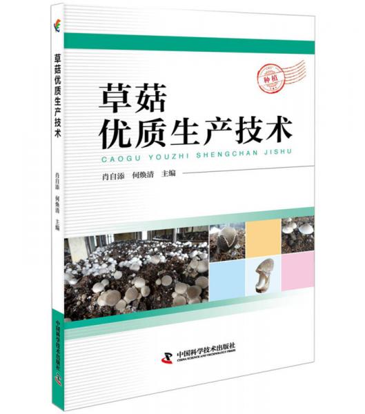 草菇優(yōu)質(zhì)生產(chǎn)技術(shù)
