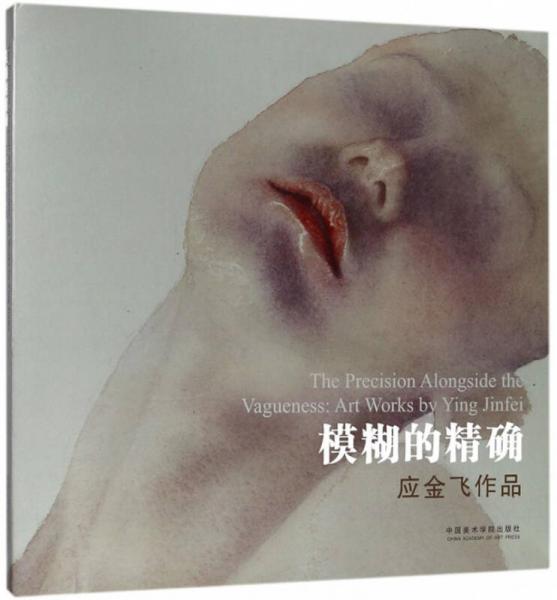 模糊的精確:應(yīng)金飛作品