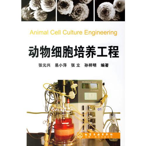动物细胞培养工程