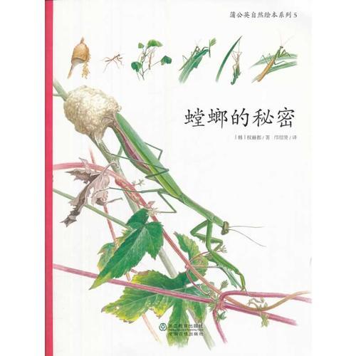蒲公英自然绘本系列：螳螂的秘密
