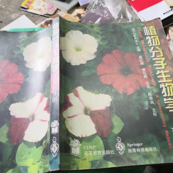 植物分子生物學(xué):實(shí)驗(yàn)手冊(cè)