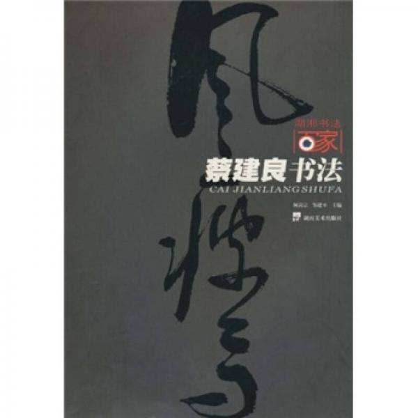 湖湘書法百家：蔡建良書法