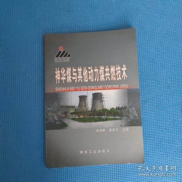 神華煤與其他動(dòng)力煤共燃技術(shù)