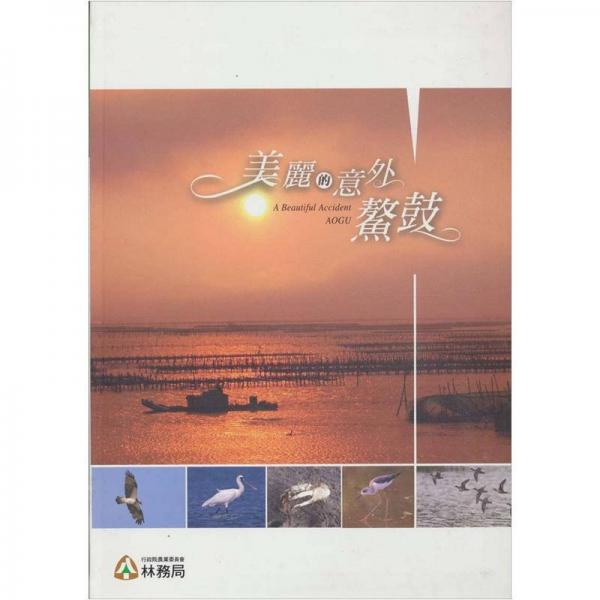 美麗的意外：鰲鼓