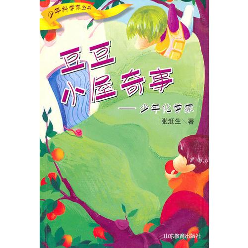 豆豆小屋奇事：少年化學(xué)家
