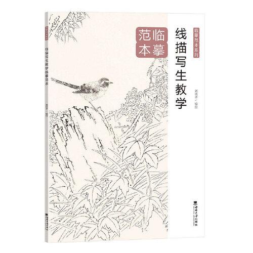 線描寫(xiě)生教學(xué)臨摹范本