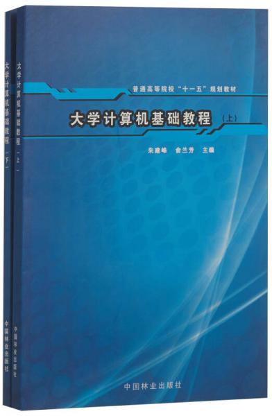 大學(xué)計(jì)算機(jī)基礎(chǔ)教程