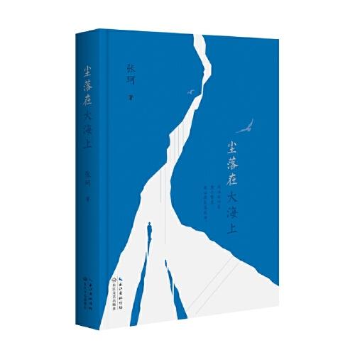 塵落在大海上