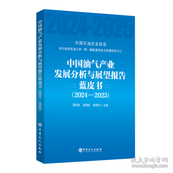 中国油气产业发展分析与展望报告蓝皮书