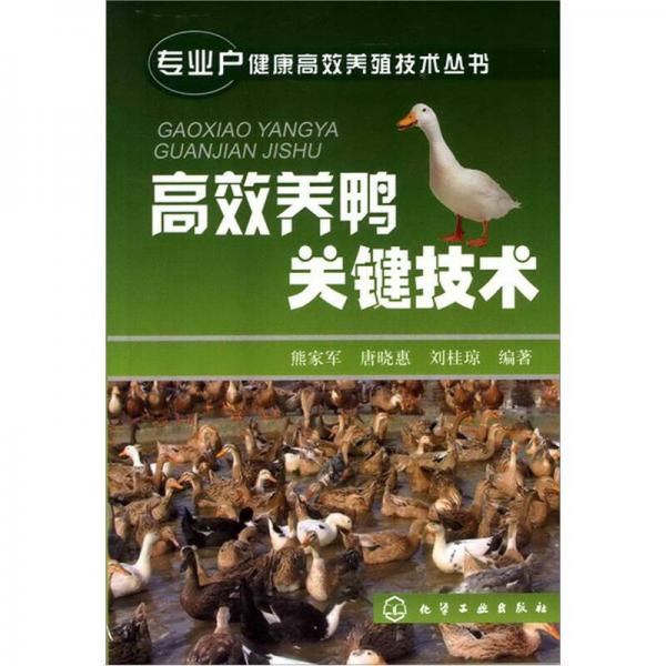 专业户健康高效养殖技术丛书：高效养鸭关键技术