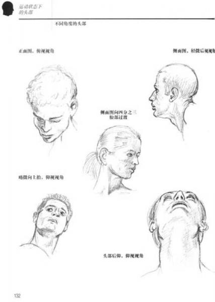 艺用人体解剖指南