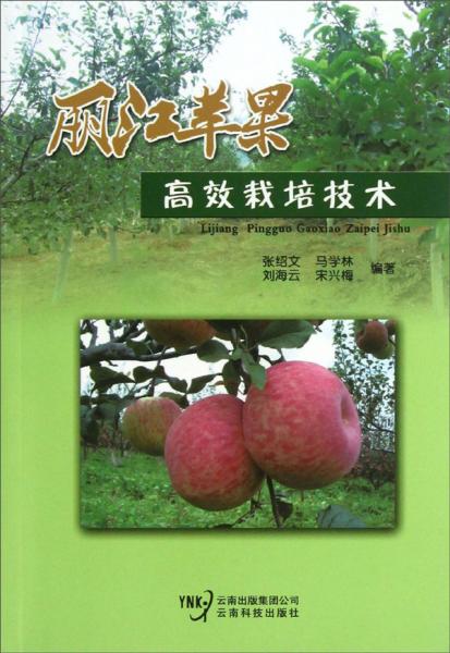丽江苹果高效栽培技术
