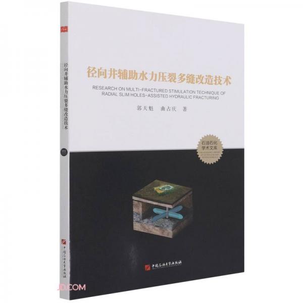 徑向井輔助水力壓裂多縫改造技術(shù)/石油石化學術(shù)文庫
