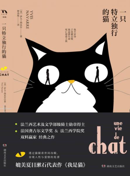 一只特立独行的猫