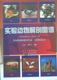 实验动物解剖图谱