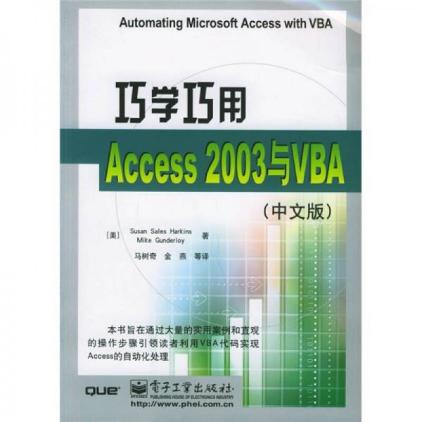 巧学巧用Access2003与VBA（中文版）