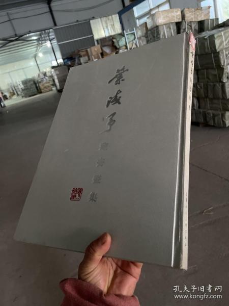 葉淺予藏書畫集