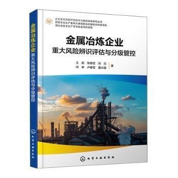 金屬冶煉企業(yè)重大風(fēng)險(xiǎn)辨識(shí)評(píng)估與分級(jí)管控/企業(yè)安全風(fēng)險(xiǎn)評(píng)估技術(shù)與管控體系研究叢書(shū)