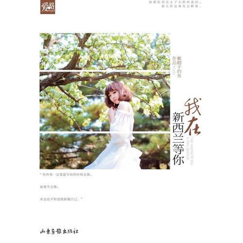 我在新西蘭等你