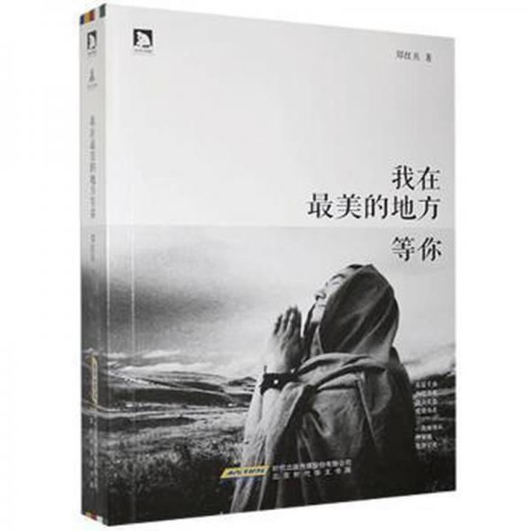 我在美的地方等你 中國(guó)現(xiàn)當(dāng)代文學(xué) 鄭紅兵