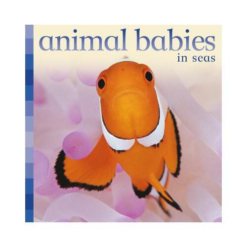 Animal Babies in Seas