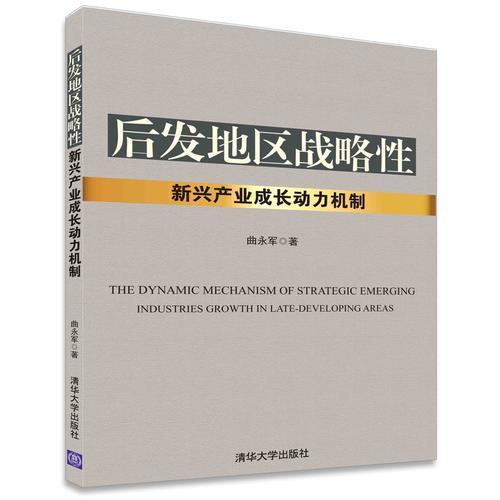 后發(fā)地區(qū)戰(zhàn)略性新興產(chǎn)業(yè)成長(zhǎng)動(dòng)力機(jī)制