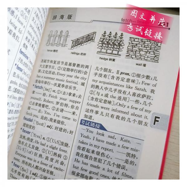 辞海版学生实用新英汉词典