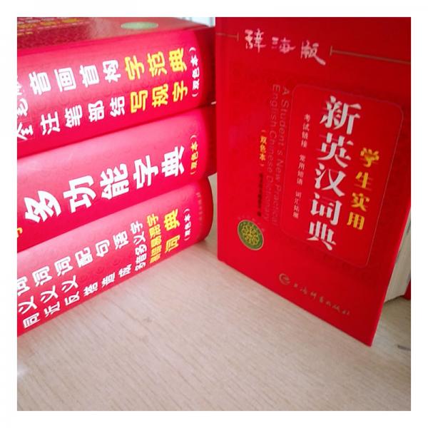 辞海版学生实用新英汉词典