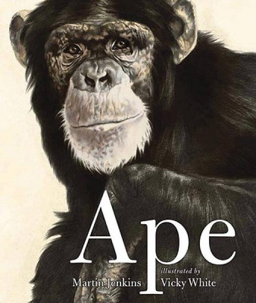 Ape