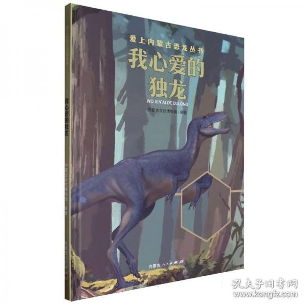 我心愛(ài)的獨(dú)龍