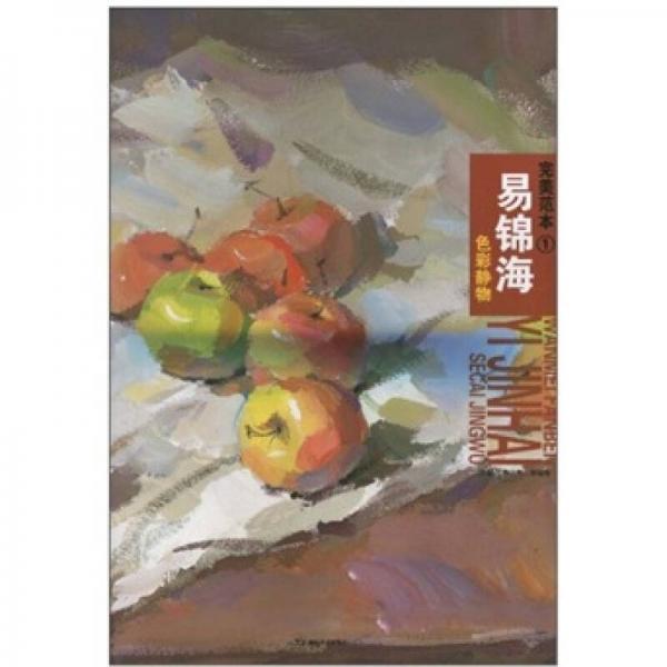 完美范本1：易锦海色彩静物