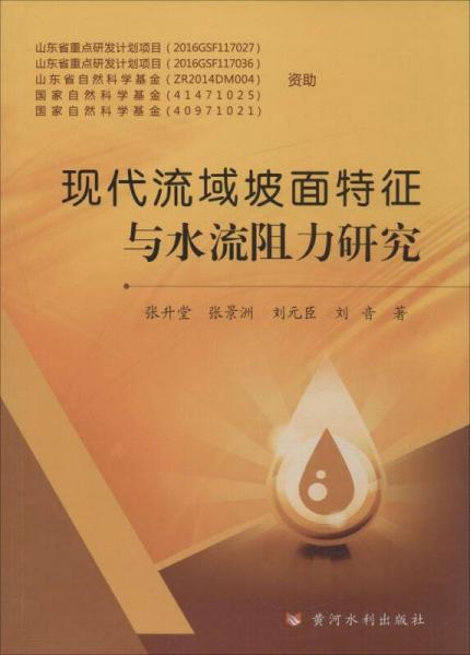 現(xiàn)代流域坡面特征與水流阻力研究