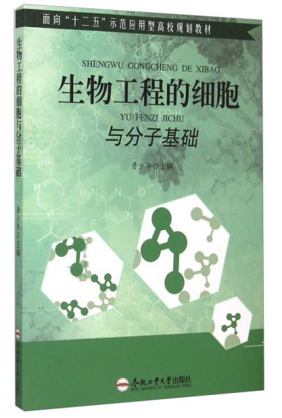 生物工程的細(xì)胞與分子基礎(chǔ)