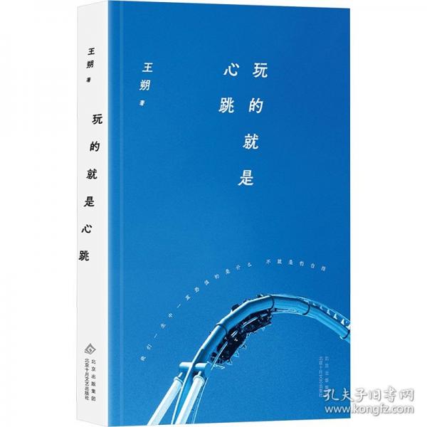 玩的就是心跳（2024年平裝，王朔長篇小說