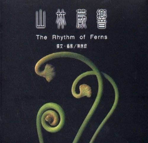 山林蕨響