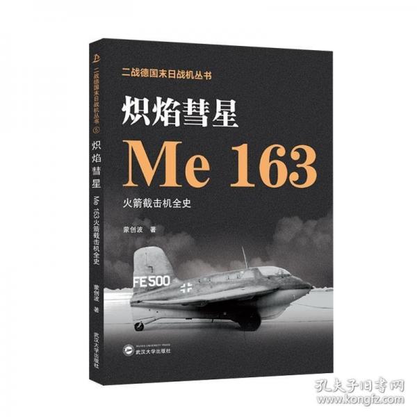 熾焰彗星——Me 163火箭截?fù)魴C(jī)全史