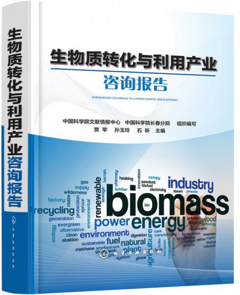 生物質(zhì)轉(zhuǎn)化與利用產(chǎn)業(yè)咨詢報(bào)告