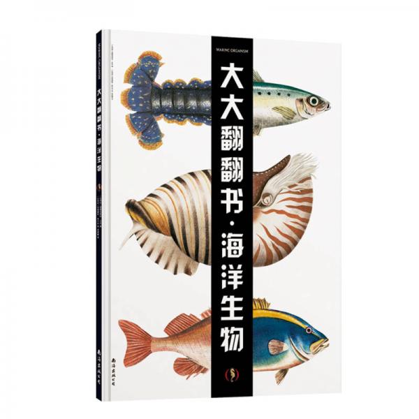 全腦智能訓(xùn)練書：海洋生物