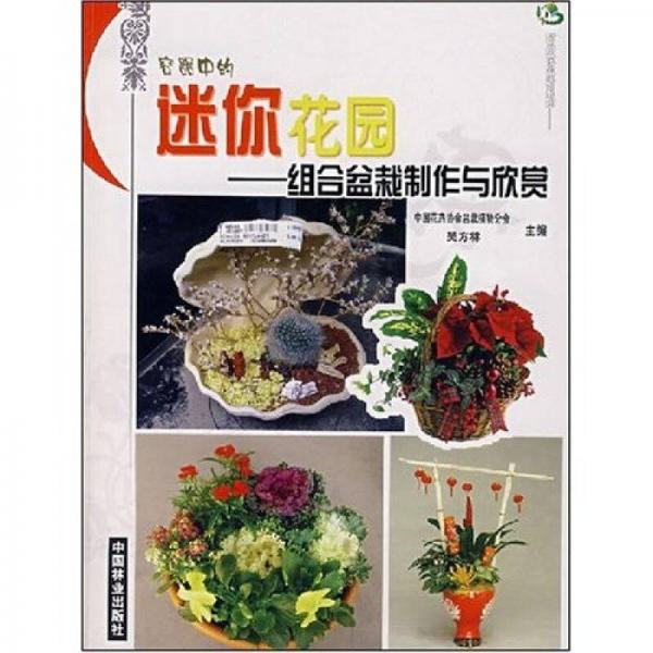 容器中的迷你花園：組合盆栽制作與欣賞