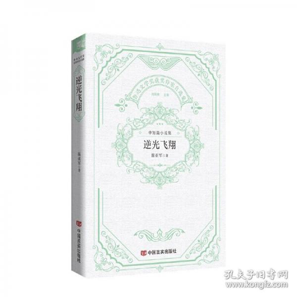 逆光飛翔