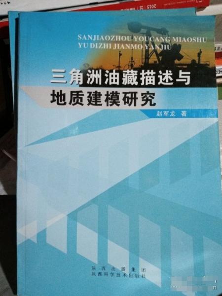 三角洲油藏描述與地質(zhì)建模研究