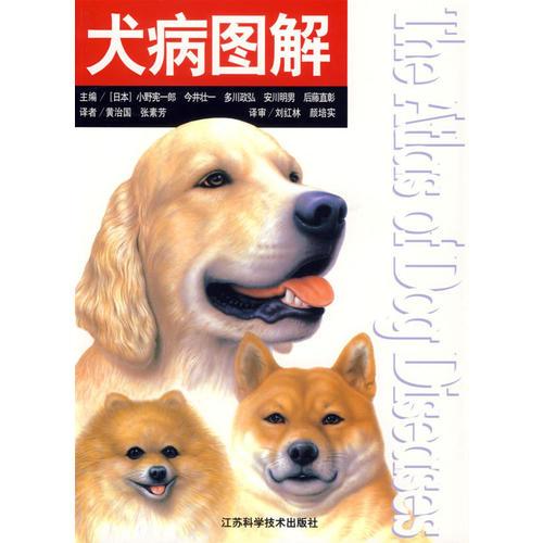 犬病图解