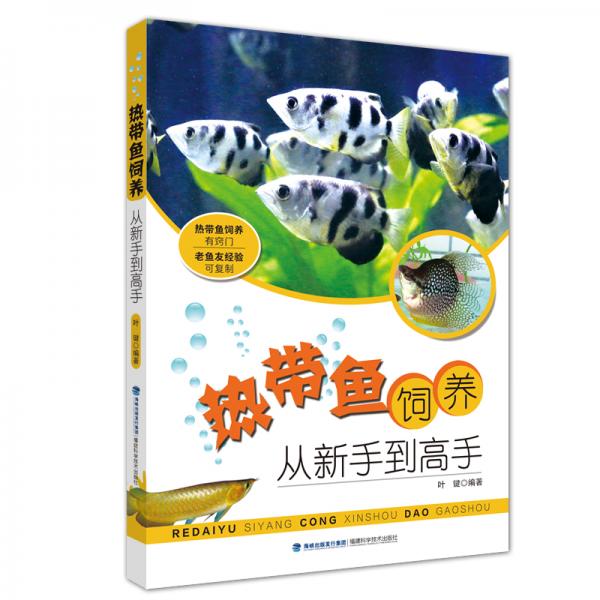 熱帶魚飼養(yǎng)從新手到高手