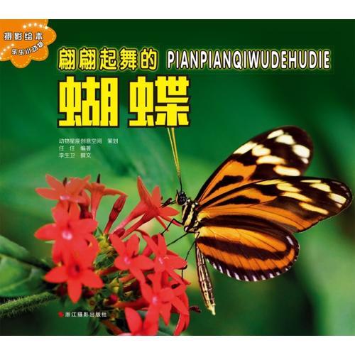 樂樂小動物：翩翩起舞的蝴蝶