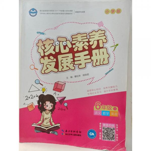 核心素養(yǎng)發(fā)展手冊. 六年級. 下冊