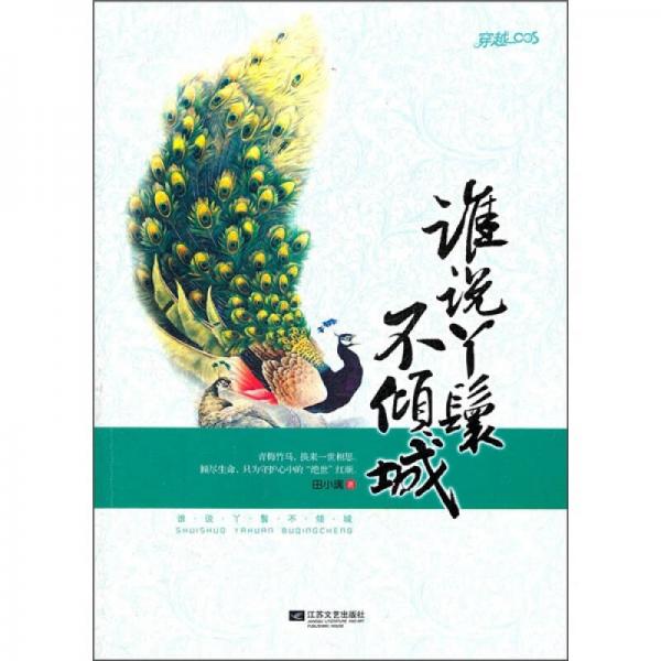 誰(shuí)說(shuō)丫鬟不傾城
