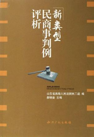 新類型民商事判例評析